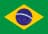 Português (Brasil)